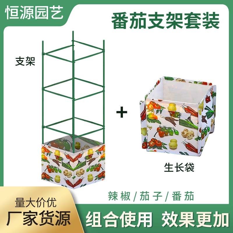 西红柿番茄架种菜黄瓜豆角架子植物花架阳台爬藤支架支撑杆,鲜花速递/花卉仿真/绿植园艺,花架,淘宝优惠券,粉丝福利购,淘宝优惠卷