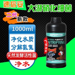 速倍妥活力维生素龙鱼大湖硝化细菌水质必定清多功能水稳鱼缸净水