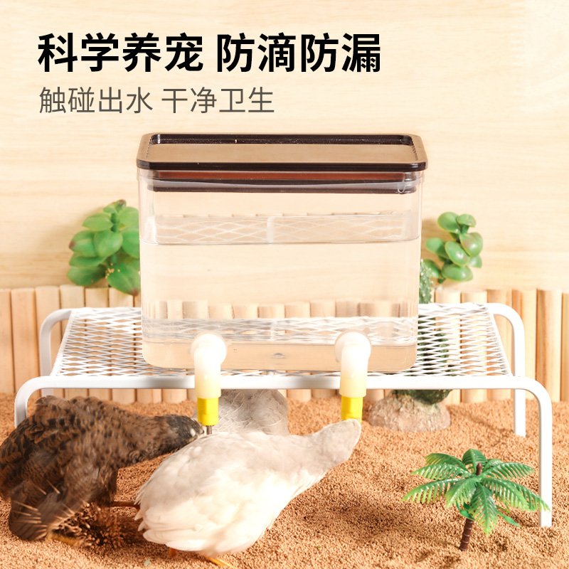 芦丁鸡撞针喝水饮水器自动喂水喂食器防刨食槽食盒平台饲料盒水壶