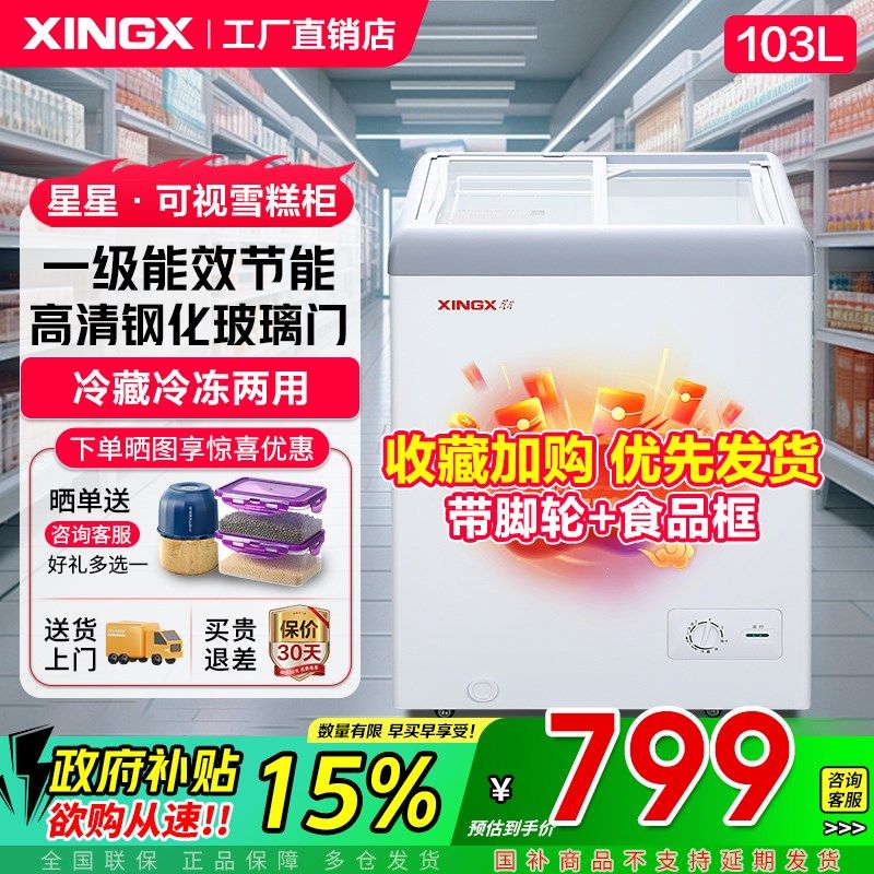 星星冰柜升商用速冻绿豆冰沙展示柜平面门雪糕饮料小冷柜