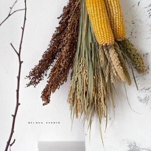 玉米挂件装饰棒子带皮农家乐装饰麦穗水稻高粱五谷杂粮田园农作物
