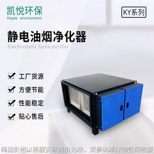 烧烤车餐饮静电油烟净化器 无烟烧烤 酒店餐饮业油烟净化设备