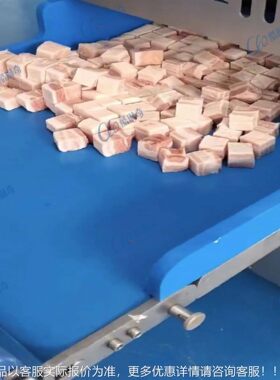 蒙古耗内牛肉厚条机 牛腱肉肉干切长条厚切片MAGA-102机切 长肉片