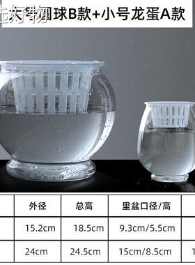 【全国包邮】透明塑料花金盆水黄葛敞囗形培东瓜花瓶鱼缸简约桌面