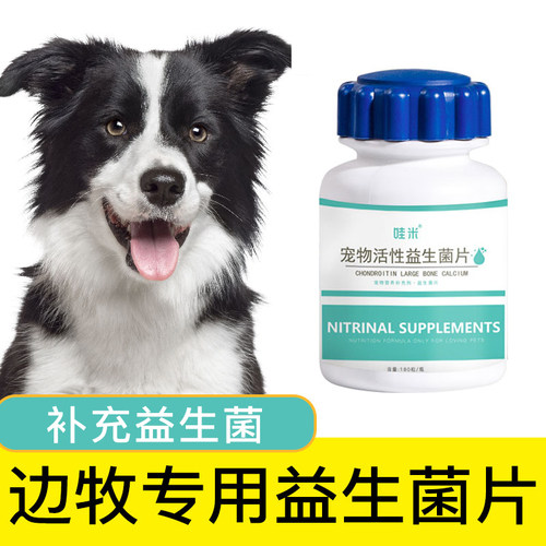 边牧专用益生菌片宠物保健益生菌狗狗活性菌肠道消化宝成幼犬