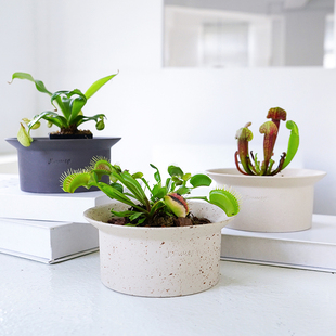 北欧陶瓷花盆矮浅口大口径多肉小铜钱草陶土块根宽口盆景陶盆白色
