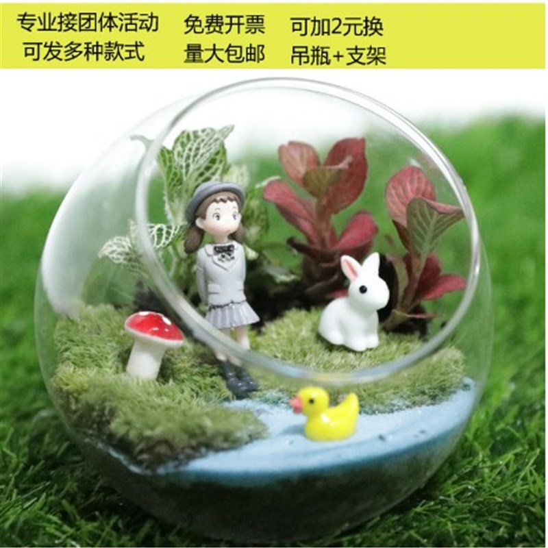 微观苔藓多肉迷你植物玻璃微景观盆栽绿植盆景生态瓶diy材料包