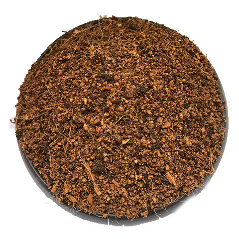 枫树土枫树专用土枫树类盆景盆栽营养土酸性沙质土壤绿植种植肥料