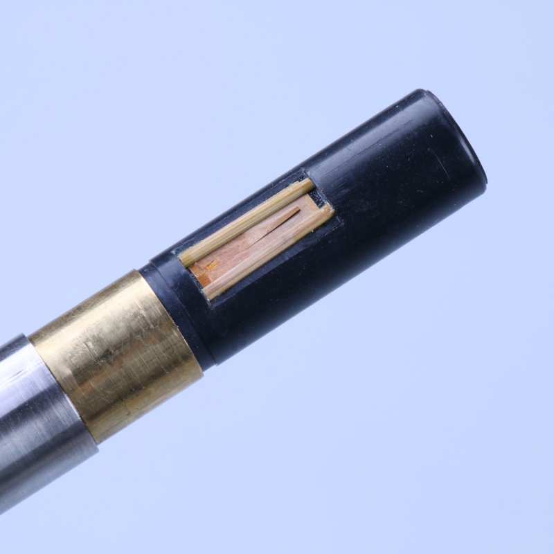 蓝孔雀 学生成人专业演奏 C调降B调黑檀木管葫芦丝 云南民族乐器