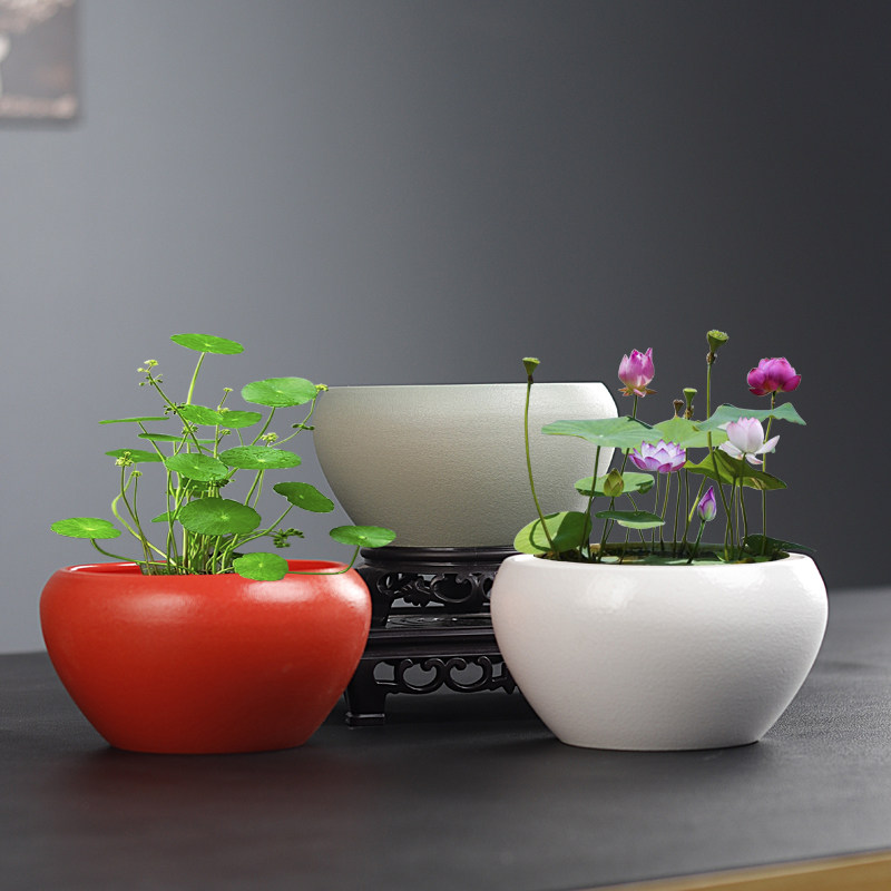 铜钱草水养绿萝桌面水培办公室陶瓷花瓶微型碗莲花盆无孔专用器皿