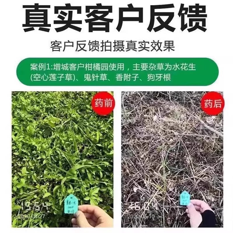 芦苇烂根药杀芦苇专用药除草烂根剂灭除水花生烂根剂藕鱼塘一扫光