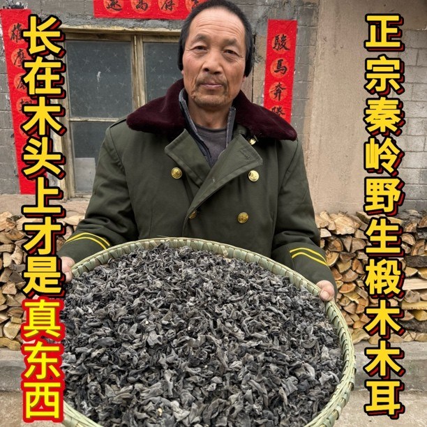 陕西秦岭椴木木耳头茬春木耳商洛柞水产地直发正宗椴木生长