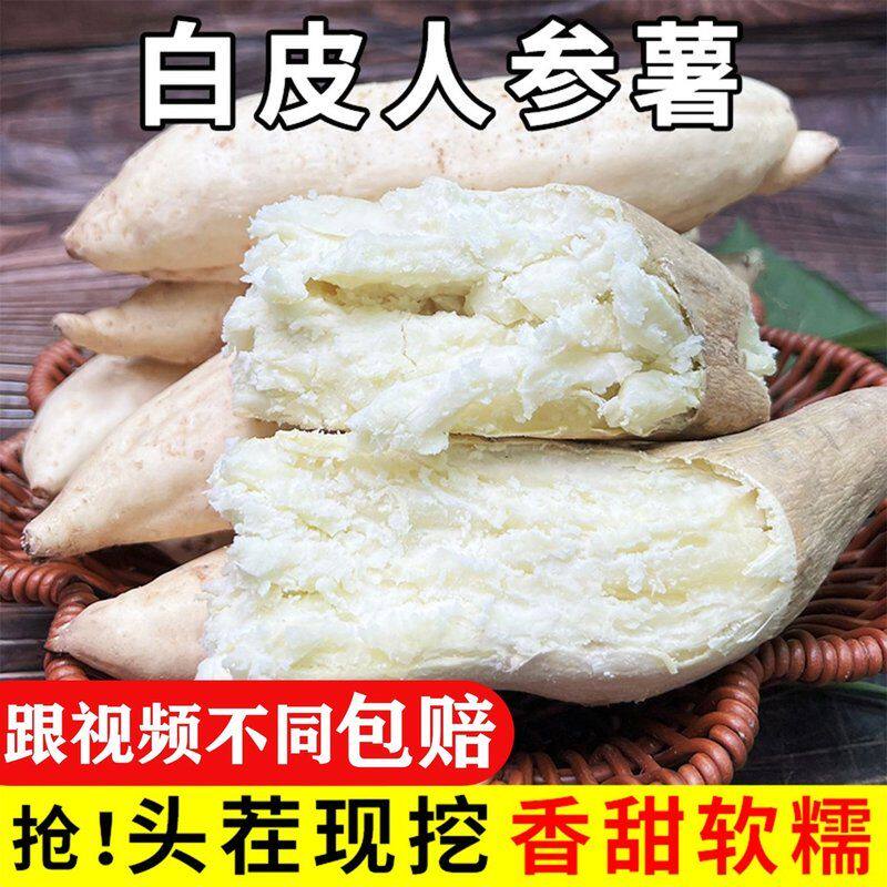 [9斤包邮]新鲜白皮人参薯板栗薯辅食粉面地瓜红薯2斤5斤 多仓发货