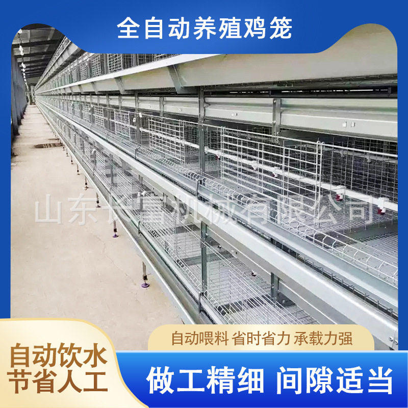 层叠式肉鸡笼框架全自动半自动立体镀锌鸡舍家用养殖层叠式蛋鸡笼