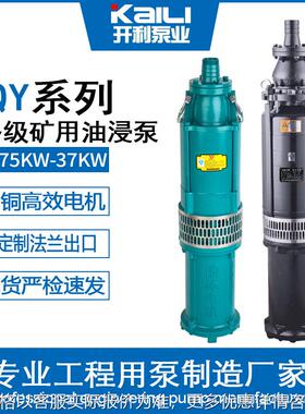 QY多级油浸泵抽水泵大流量高扬程潜水泵农田灌溉清水矿用铸铁三相