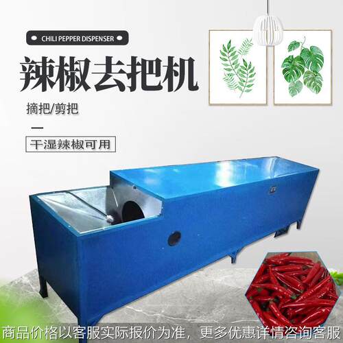 生产鲜辣椒去把清洗机 食堂商用油菜气泡清洗机 全自动洗菜机