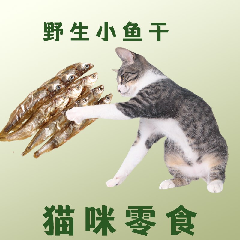 猫零食小鱼干500g淡水猫咪吃的鱼条幼猫补钙磨牙营养增肥猫粮