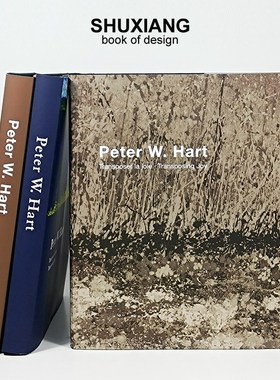 油画艺术样板房装饰书摆件书样板间茶几书房书柜真书装饰摆件