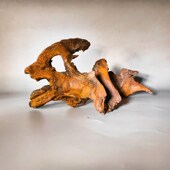 山形沉木拱桥乌龟晒台紫柚木鱼缸造景精品天然摆件爬宠沉木秒沉