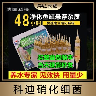 科迪硝化细菌 水族硝化菌 鱼缸净水剂液体水质澄清剂海水养鱼用品