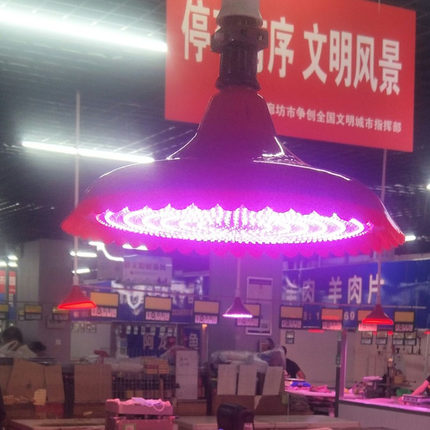猪肉灯生灯LED水果灯市场超市灯熟食烧腊灯大功率250W红白1300珠