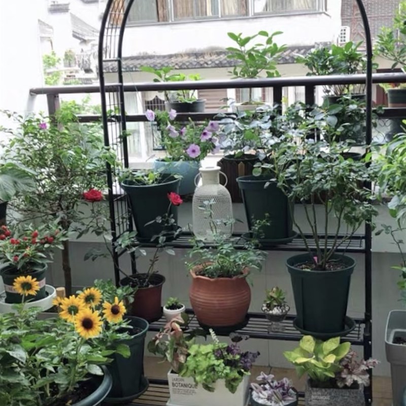 庭院铁艺拱门爬藤月季铁制简约花架户外攀爬架室外花支架支撑