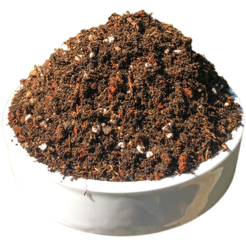 多肉土专用营养颗粒土植物通用大包透气泥炭土铺面石叶插种植土壤