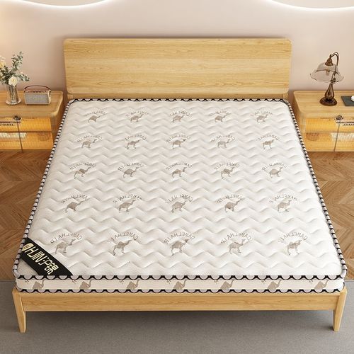 棕垫天然椰棕床垫家用卧室10cm儿童床垫可折叠榻榻米护脊加硬棕垫