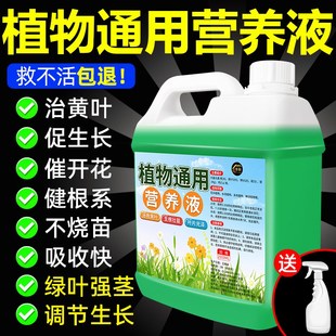 植物营养液通用型培养绿植盆栽花卉花肥液体肥料土培水培治黄叶%