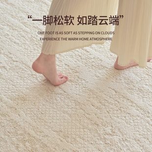 硅藻丝防水防污免洗可擦免打理轻奢高级沙发地垫 地毯客厅2024新款