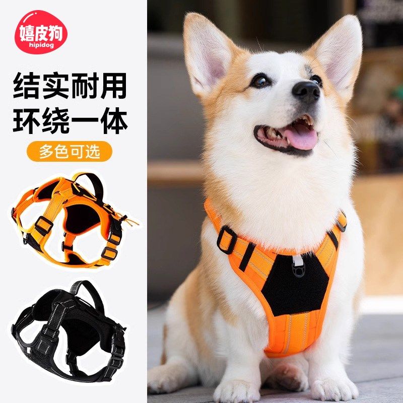 狗狗牵引绳背心式胸背带中大型犬小型犬柴犬金毛遛狗绳子宠物用品,宠物/宠物食品及用品,狗牵引绳,淘宝优惠券,粉丝福利购,淘宝优惠卷