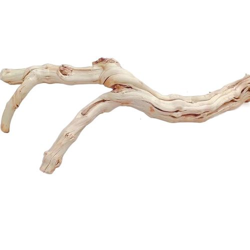 爬宠虫造景藤木霸王树栖装饰沉枯鬃狮蜥蜴睫角豹纹肥尾守宫晒背台