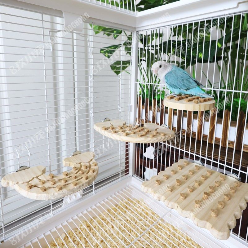 8玖-鹦鹉解压木塞啃咬玩具跳台鹦鹉鸟磨嘴站杆站台天然原木质发泄,宠物/宠物食品及用品,鸟玩具,淘宝优惠券,粉丝福利购,淘宝优惠卷