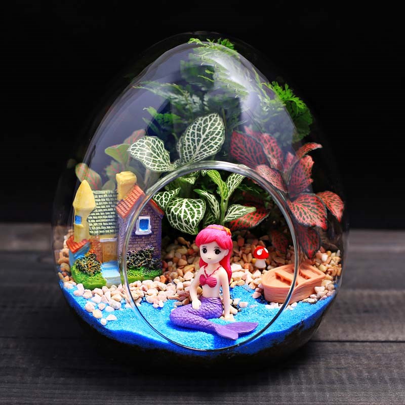 大蛋型玻璃瓶苔藓微景观绿植物创意盆栽 办公室内桌面diy材料套装