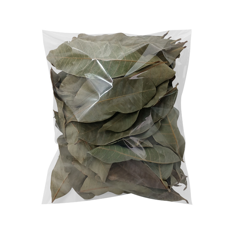 乌龟专用龙眼叶养龟预防腐皮烂甲调节水质免煮养龟鱼缸造景大叶子