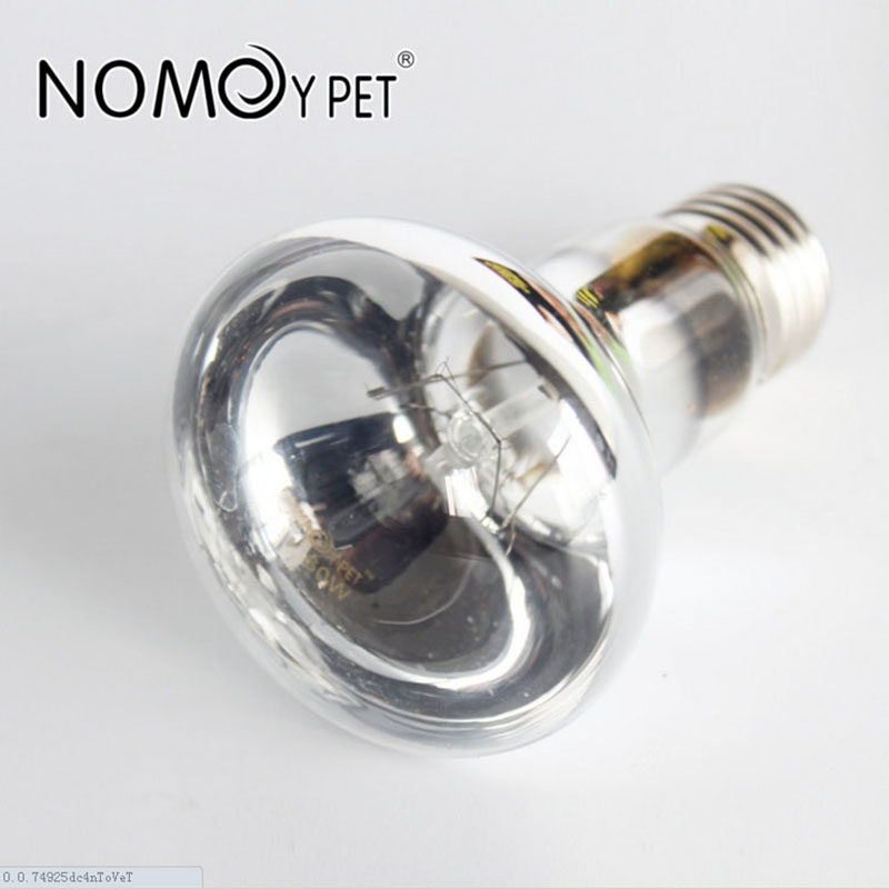 宠物加热日灯夜灯爬虫蜥蜴刺猬陆龟乌龟取全光谱爬宠UVA保温保暖,宠物/宠物食品及用品,爬宠缸/箱,淘宝优惠券,粉丝福利购,淘宝优惠卷