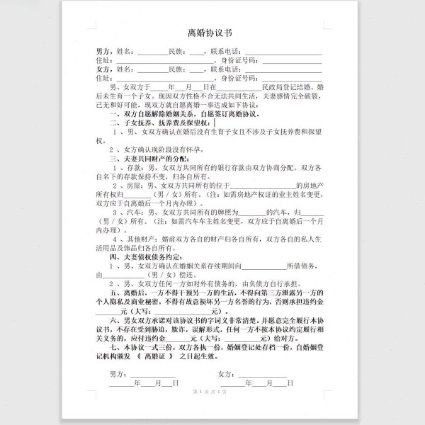 离婚协议书打印好的离婚合同财产分割子女抚养有电子档多种格式件
