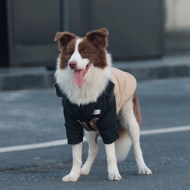 狗狗棉衣冬季保暖大型犬厚衣服边牧金毛拉布拉多狗狗衣服大狗冬装