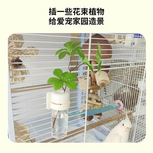 优嗖鹦鹉谷穗夹卡扣玩具磨牙棒固定花瓶多功能蔬菜水果夹鸟笼配件