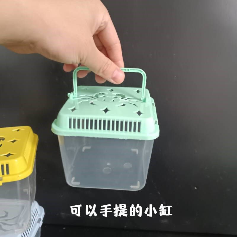 辣椒蟹专用缸淡水蟹养殖水陆缸桌面缸懒人宠物爬宠箱小螃蟹饲养盒