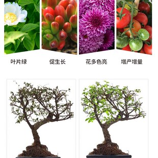 磷酸二氢钾花肥料花卉专用盆栽颗粒肥家用养花磷钾肥叶面肥