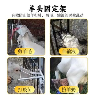 友牧羊头固定架抓羊钩剪羊毛固定器输液保定架羊头架子配种夹嘴笼