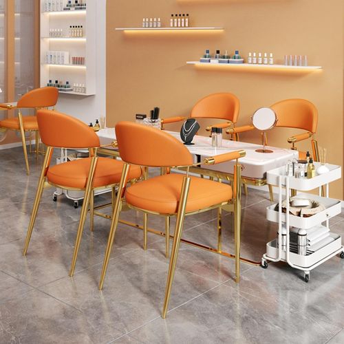 轻奢美甲椅美容院专用顾客椅化妆椅高级感服装店休息区休闲接待椅