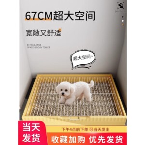 防滑垫小型中型犬狗厕所大号