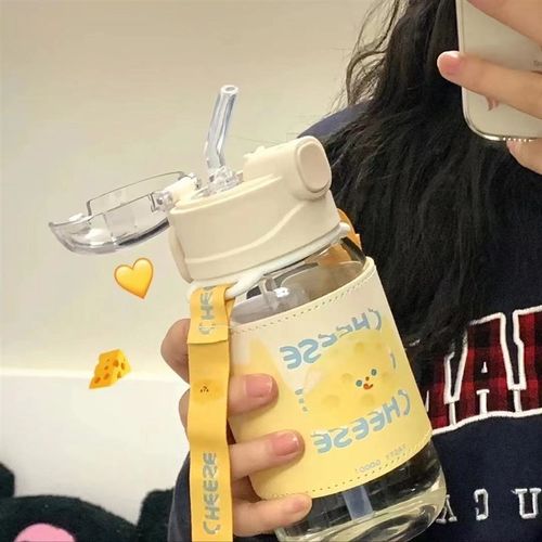 水杯便携学生女生高颜值2023新款简约少女心玻璃杯吸管杯子大容量