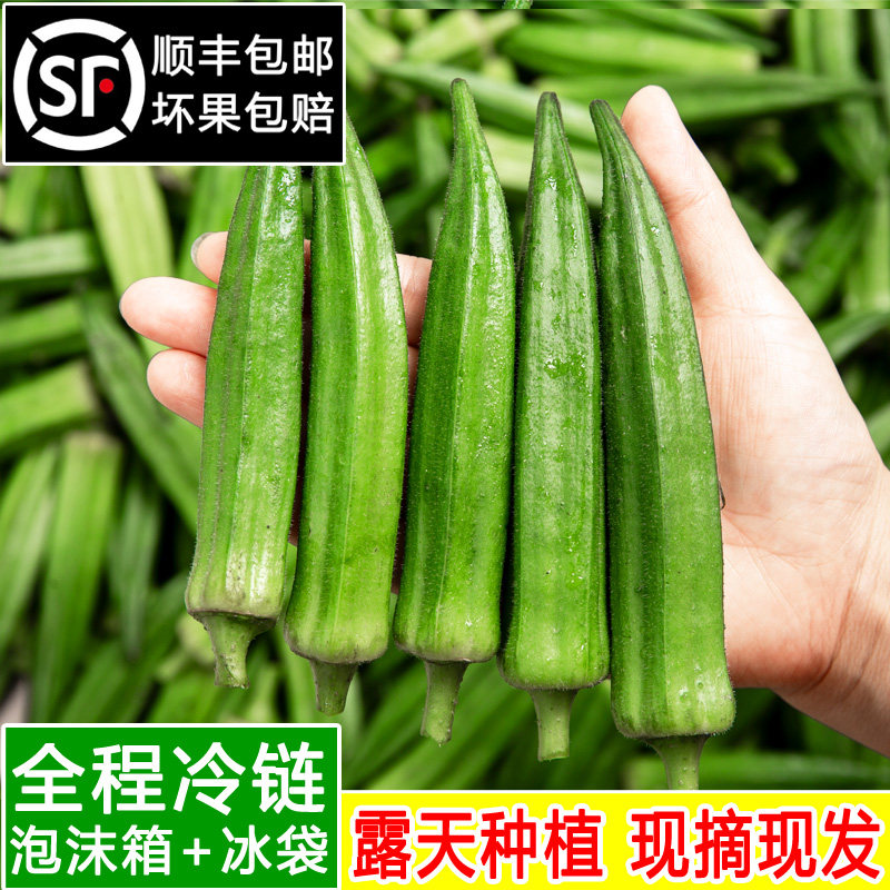 2026现摘现发山东黄秋葵2斤装
