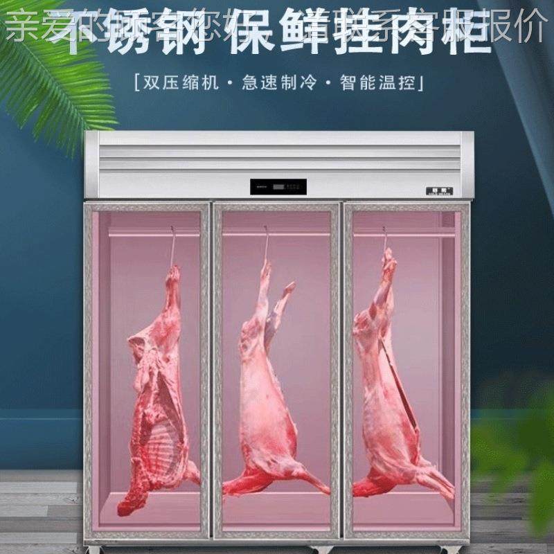 冷熟成柜吊肉风冷冷160藏柜肉熟成用保商鲜冷鲜鲜肉冷冻柜冰柜鲜