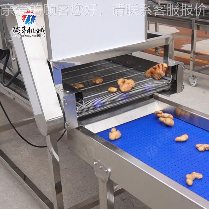 瓜果预传RVS泡提升清洗风干干送生产线 果气泡清洗机蔬 风机