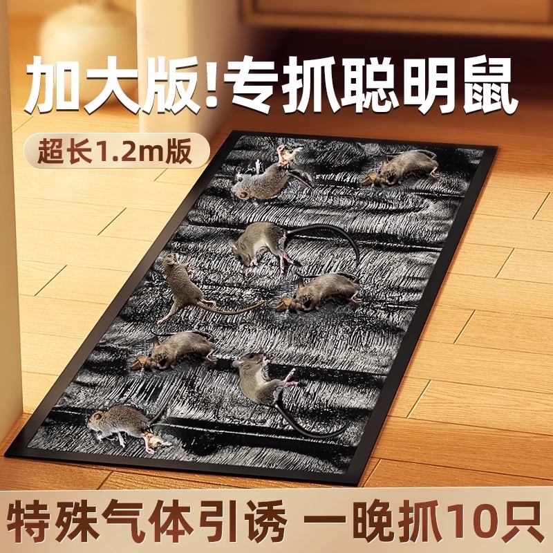 粘鼠板捉粘大老鼠聪明鼠贴沾胶抓灭鼠捕鼠神器超强正品家用一窝端