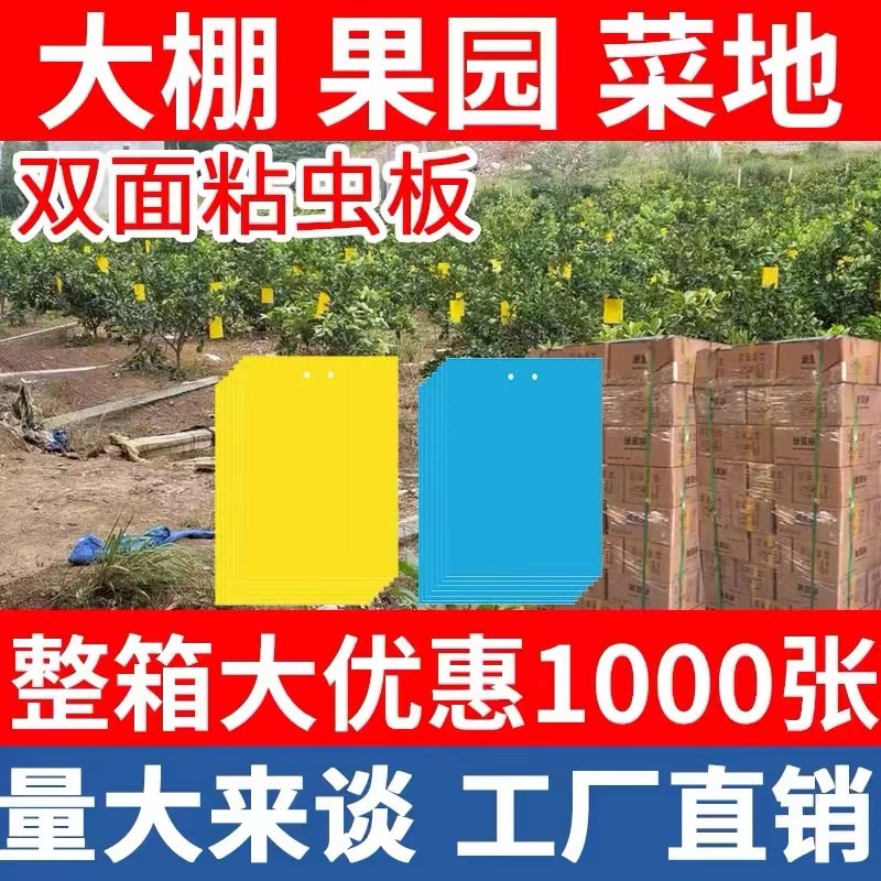 粘虫板黄板双面超粘特粘蓟马蓝板诱虫板白粉虱小黑飞大棚果园茶园